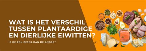 Vergelijking van spieropbouw tussen plantaardig en dierlijk dieet