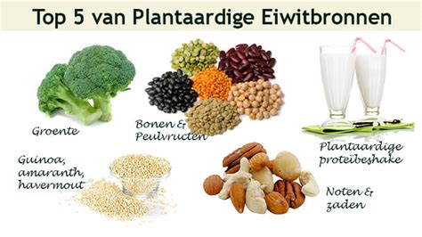 Voorbeelden van plantaardige eiwitbronnen