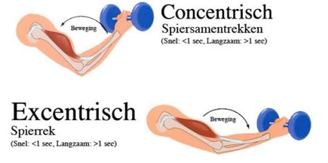 Schema van excentrische en concentrische spiercontractie
