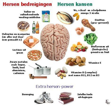 Gezonde voeding voor de hersenen