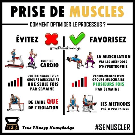 Schéma illustrant les principes de la prise de masse musculaire