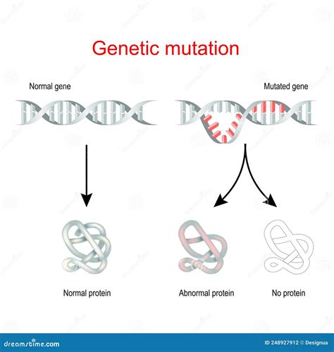 DNA-structuur en genetische mutaties