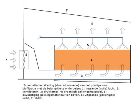 Schematische weergave van een loopband met de belangrijkste onderdelen
