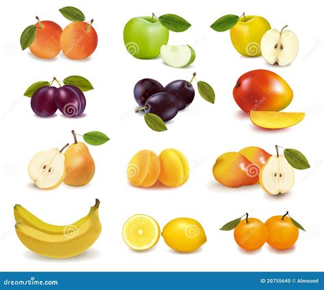 Verschillende soorten vers fruit