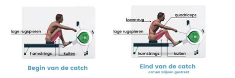 Illustratie van de spieren die tijdens het roeien worden gebruikt