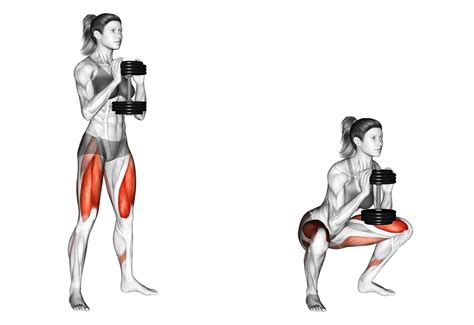 Vergelijking van dumbbell squat posities