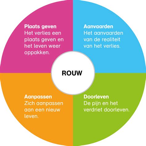 Schema van de vier breincircuits van Mindgym
