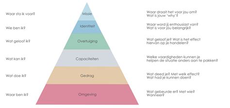 Schema met verschillende niveaus van personal trainer certificering