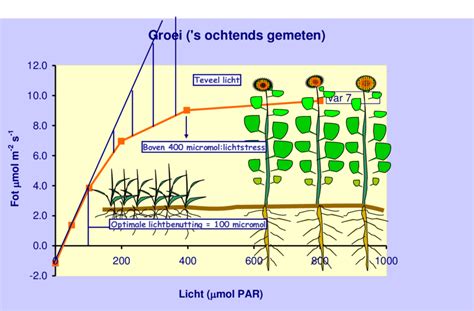 Grafiek die de relatie tussen intensiteit en energiesysteem weergeeft