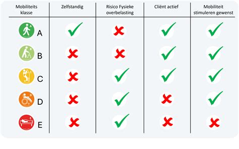 Schema met de verschillende sportdisciplines en hun niveaus bij Sportvision