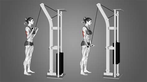 Uitleg van Triceps Pushdown met weerstandsbanden
