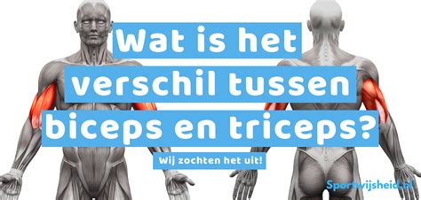 Verschillende triceps spierkoppen