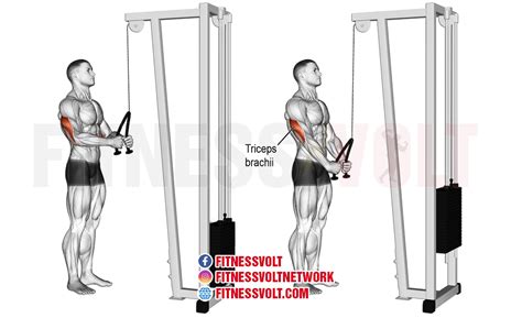 Tricep rope pushdown