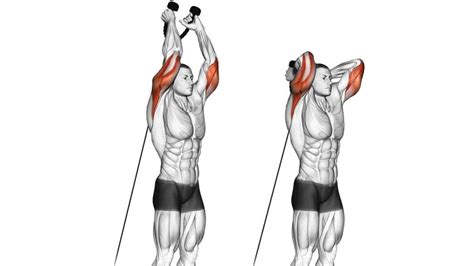Overhead tricep rope extension