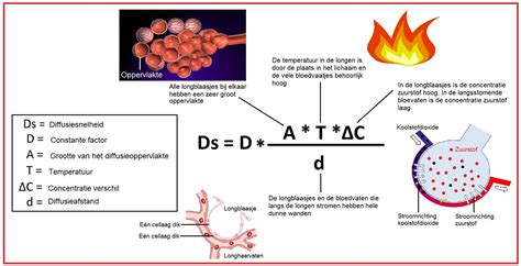 Diagram van de Wet van Dam