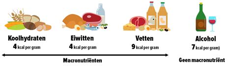 Grafiek die de verhouding tussen macronutriënten en energieniveaus tijdens een CrossFit WOD weergeeft.