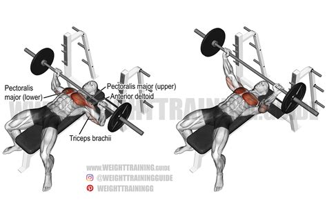 Barbell bench press techniek