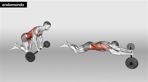 Barbell Ab Rollout