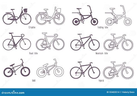 Verschillende soorten fietsen naast elkaar
