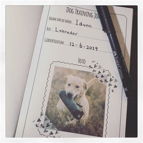 trainingsdagboek bijhouden