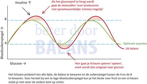 Grafiek die de bloedsuikerspiegel tijdens en na inspanning weergeeft