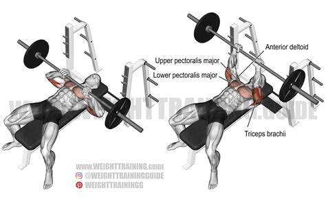 Close grip bench press met barbell