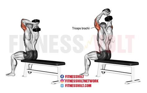 Overhead dumbbell triceps extension