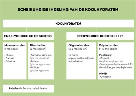 Tabel met voorbeelden van complexe en simpele koolhydraten