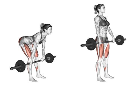 Romanian Deadlift en Nordic Curl oefeningen