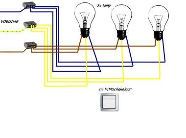 Schema van dimbare en niet-dimbare lampen