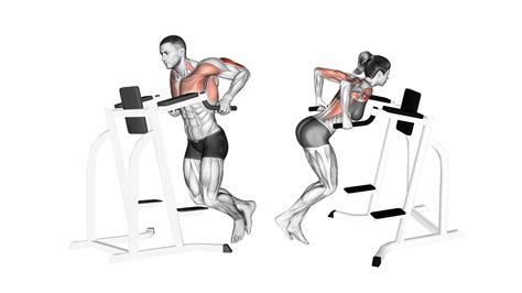 Dips voor borstspieren