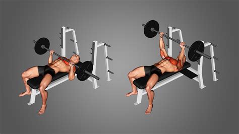 Barbell Bench Press oefening