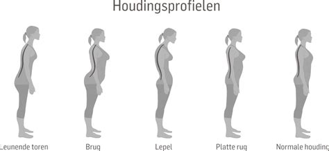 Grafische weergave van de juiste houding bij bankdrukken met een holle rug