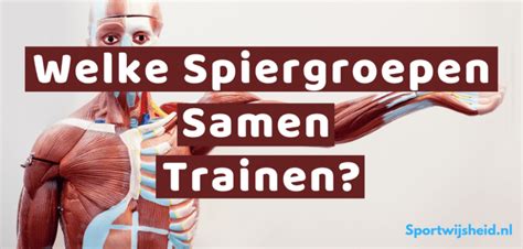 Schema met verschillende spiergroepen en trainingsdagen