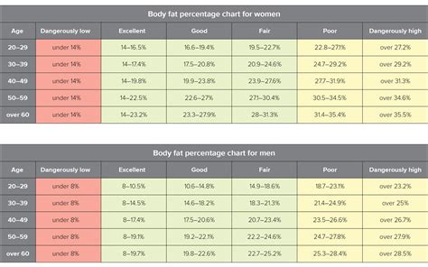 Grafiek met gezonde vetpercentage range per leeftijd en geslacht