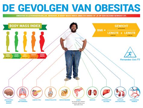 Infographic over de gezondheidsrisico's van obesitas