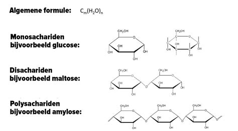 Structuur van koolhydraten