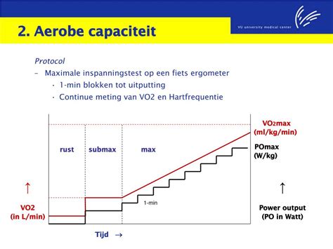 Grafiek die de verbetering van de aerobe capaciteit toont