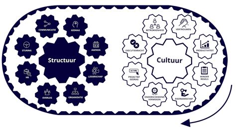Infographic over het matchen van kandidaten met organisatiecultuur