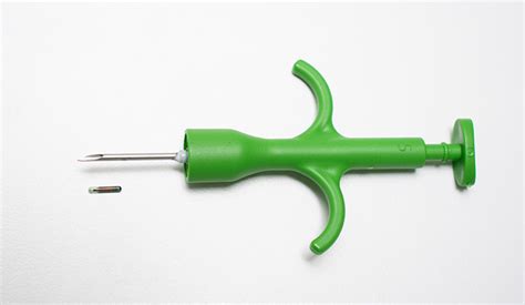 Microchip implantatie bij een dier