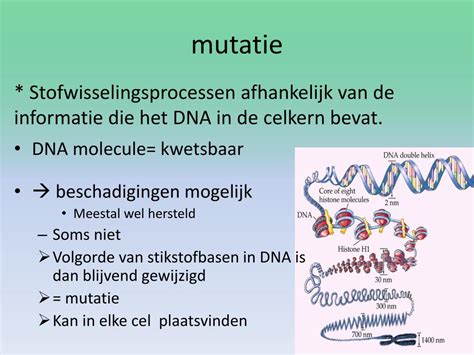 Illustratie van een frameshift mutatie