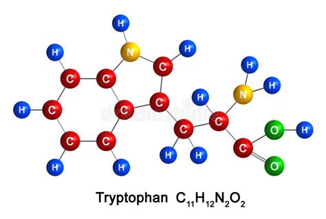 Structuur van Tryptofaan