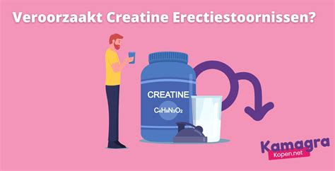 Infographic die de synergie tussen creatine en weight gainer toont