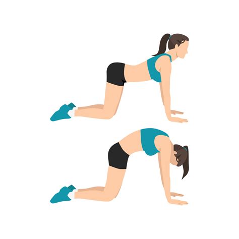 Illustratie van de Cat-Camel stretch