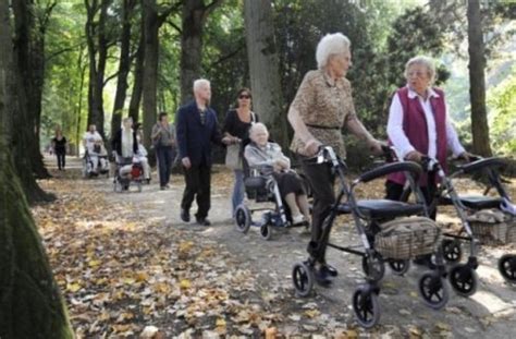Wandelende ouderen in een park