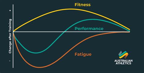 Fitness Fatigue Model grafiek