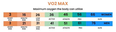 Grafiek die VO2 max. verbetering illustreert