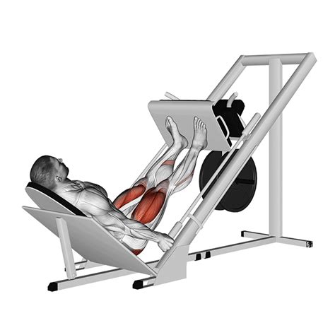 Schema van de juiste en foute uitvoering van de leg press
