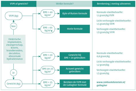 Infographic met stappen voor het berekenen van de dagelijkse eiwitbehoefte