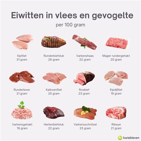 Schema met de voordelen van eiwit